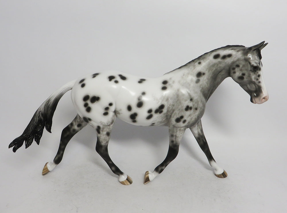 MANDY- OOAK  APPALOOSA  PALOUSE