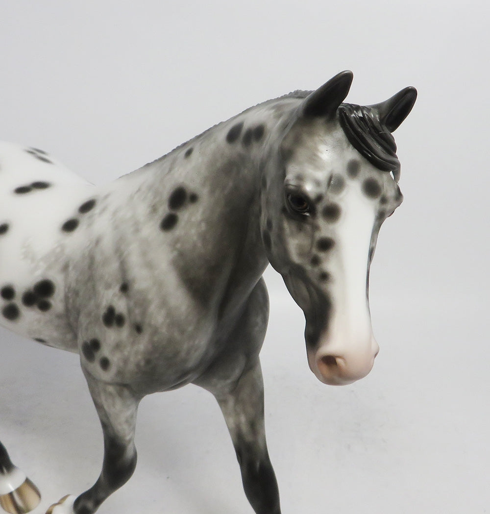 MANDY- OOAK  APPALOOSA  PALOUSE