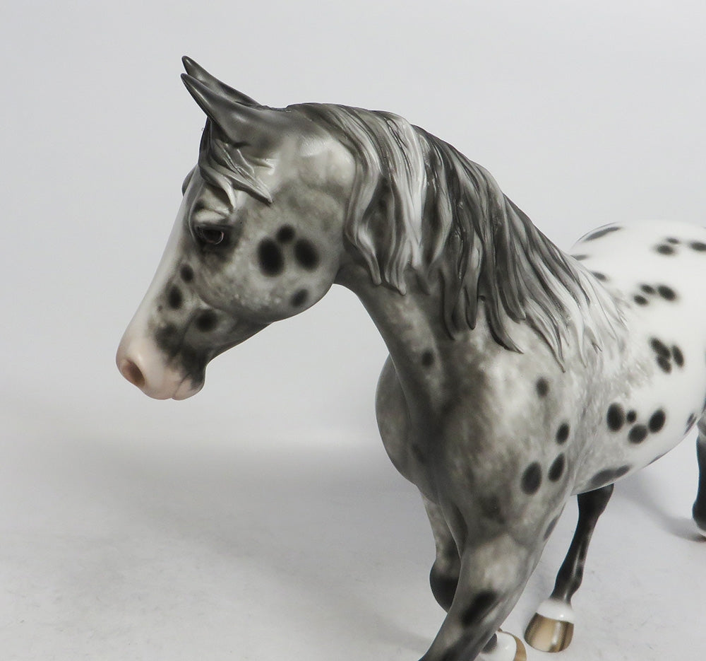 MANDY- OOAK  APPALOOSA  PALOUSE
