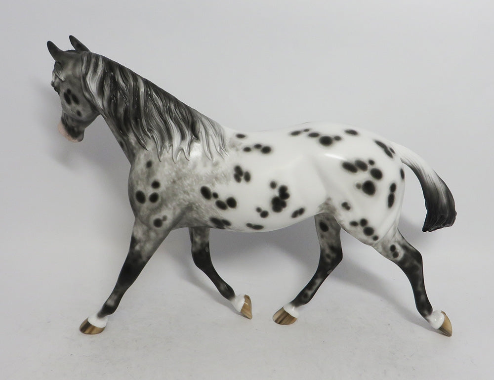 MANDY- OOAK  APPALOOSA  PALOUSE
