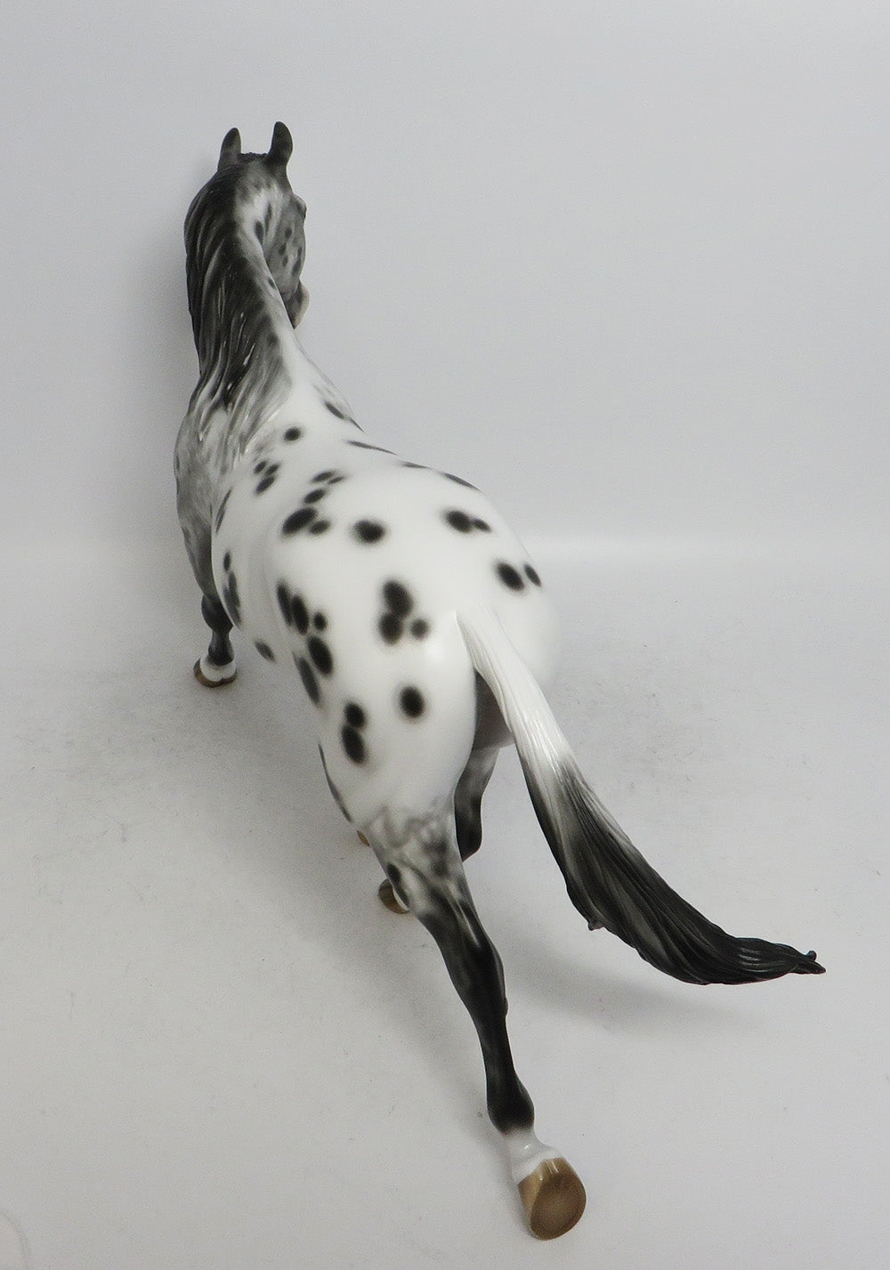MANDY- OOAK  APPALOOSA  PALOUSE
