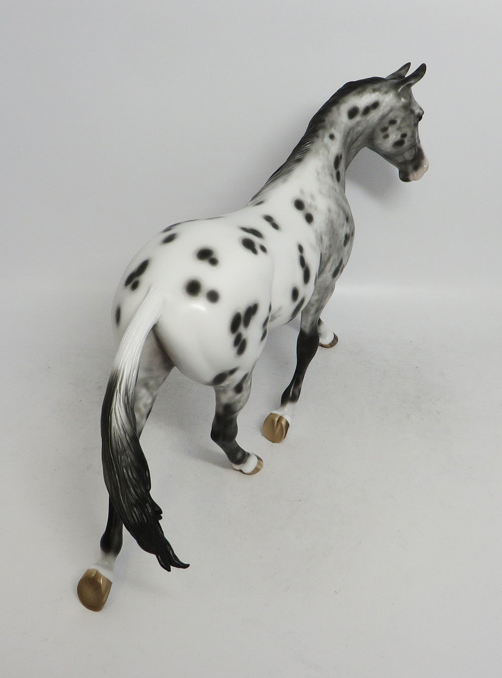 MANDY- OOAK  APPALOOSA  PALOUSE