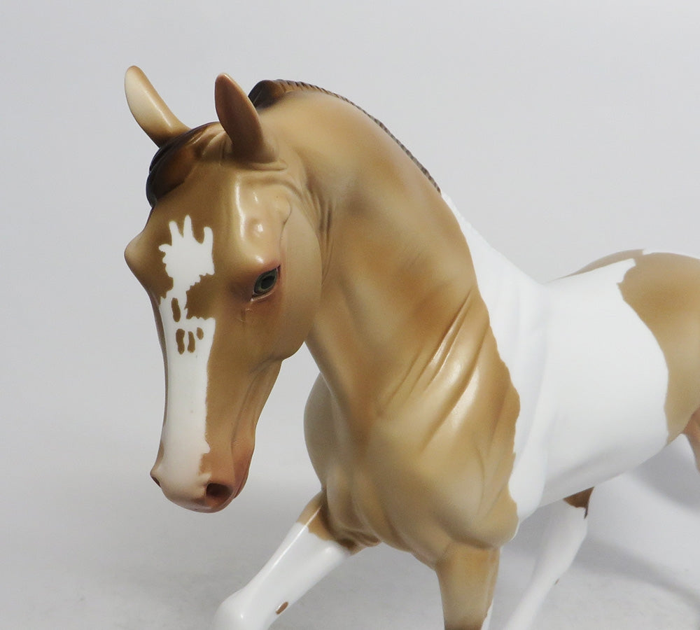 NUTCRACKER- OOAK CAMELLO PINTO TWH BY AUDREY DIXON WHS 2018