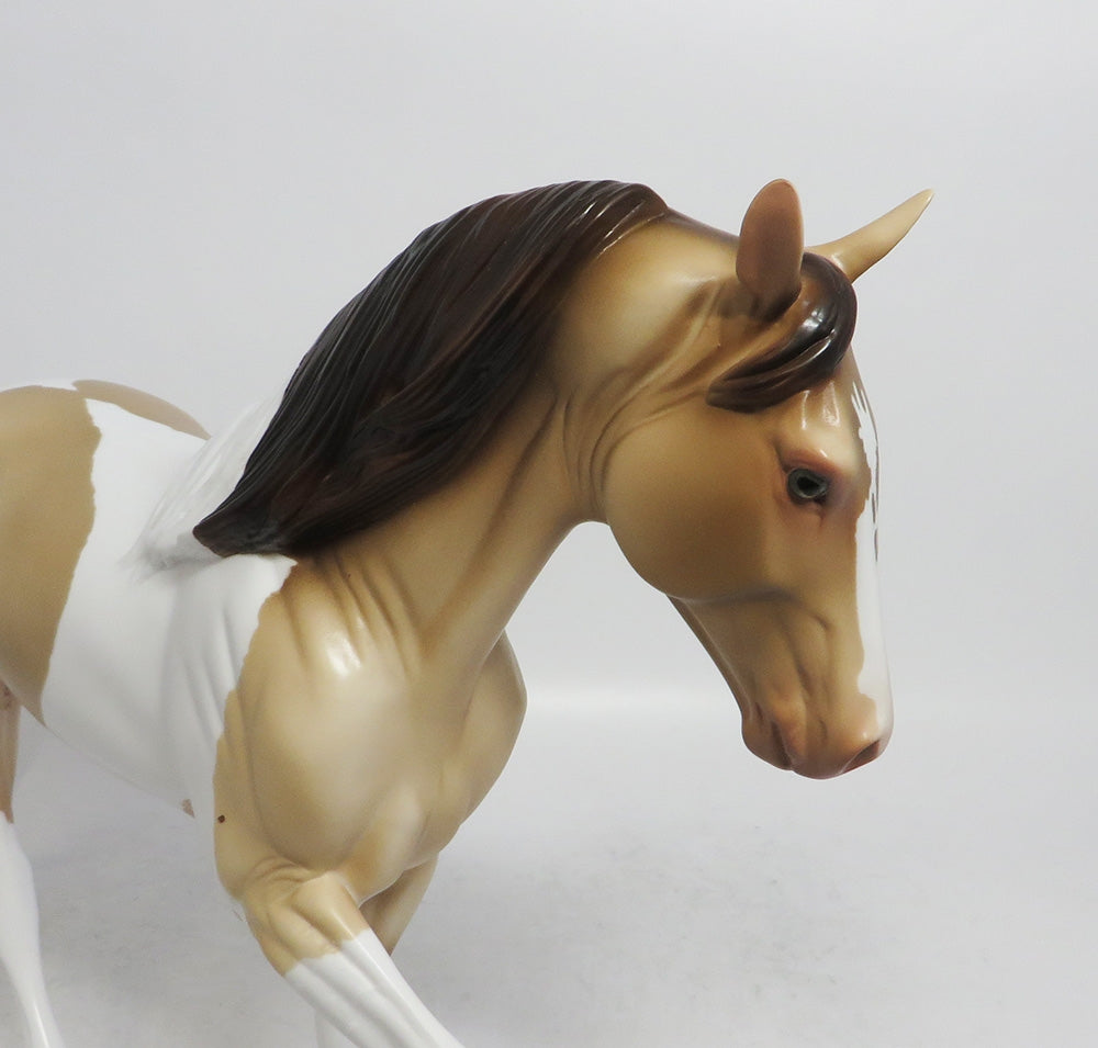 NUTCRACKER- OOAK CAMELLO PINTO TWH BY AUDREY DIXON WHS 2018