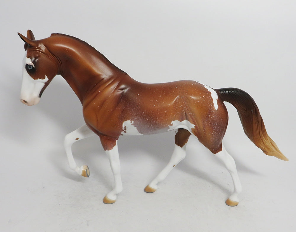 PUMPKIN PIE- OOAK SORREL TWH BY AUDREY DIXION WHS 2018