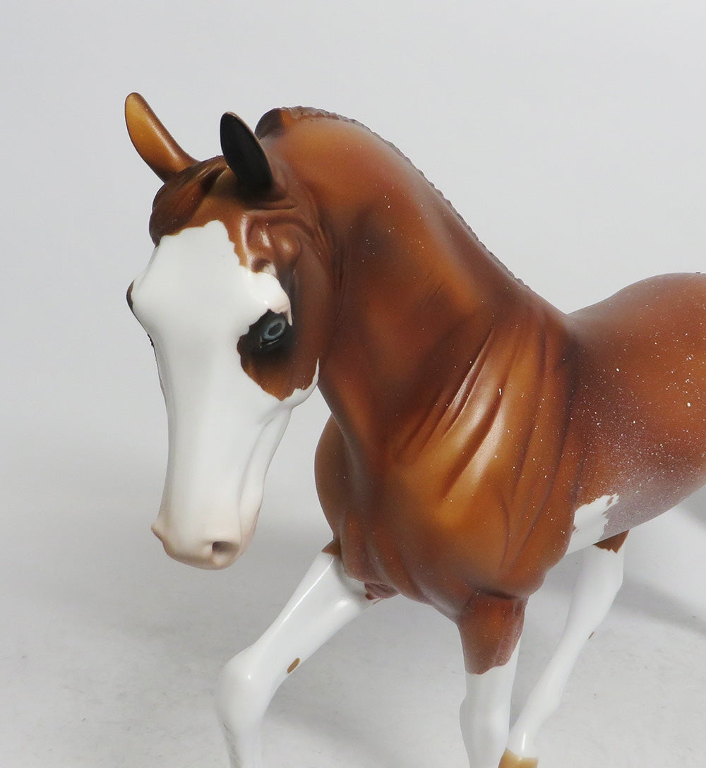 PUMPKIN PIE- OOAK SORREL TWH BY AUDREY DIXION WHS 2018