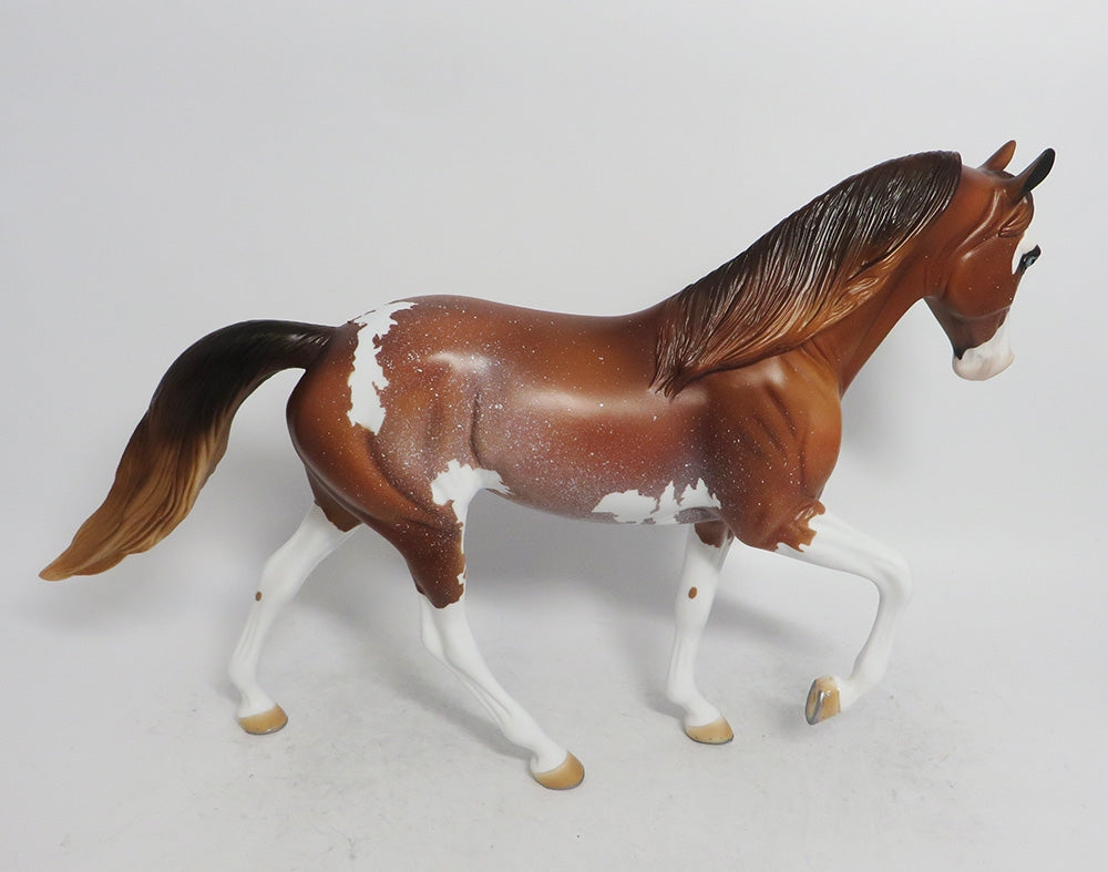 PUMPKIN PIE- OOAK SORREL TWH BY AUDREY DIXION WHS 2018