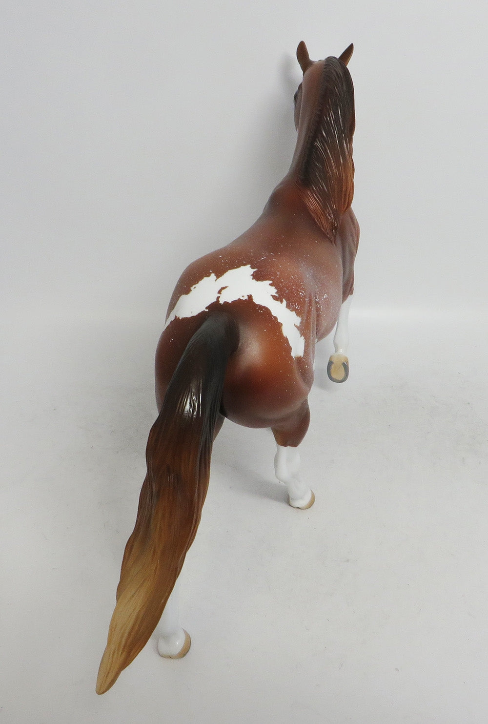 PUMPKIN PIE- OOAK SORREL TWH BY AUDREY DIXION WHS 2018