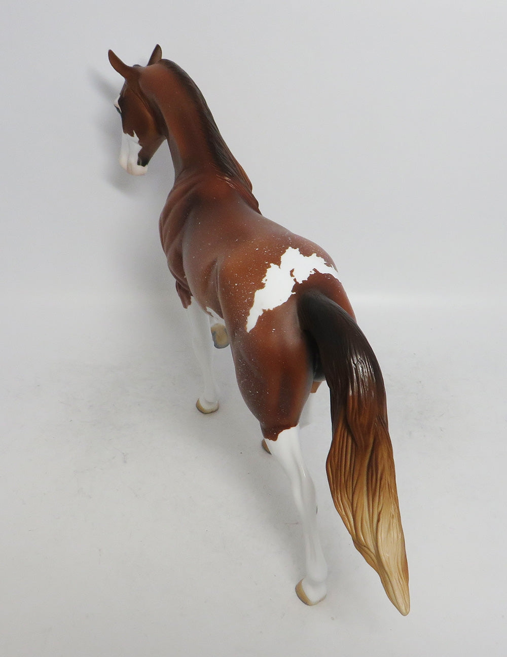 PUMPKIN PIE- OOAK SORREL TWH BY AUDREY DIXION WHS 2018