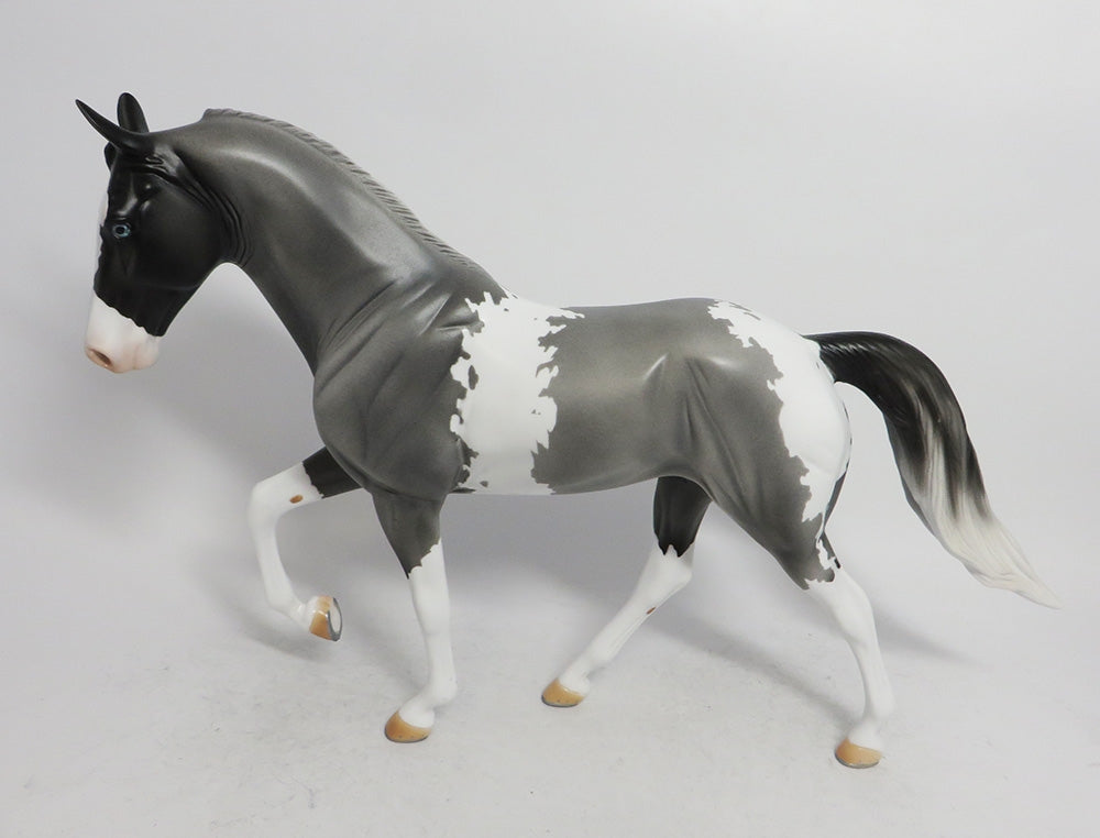 JACK FROST- OOAK GREY WITH BLACK POINTS TWH BY AUDREY DIXON WHS 2018