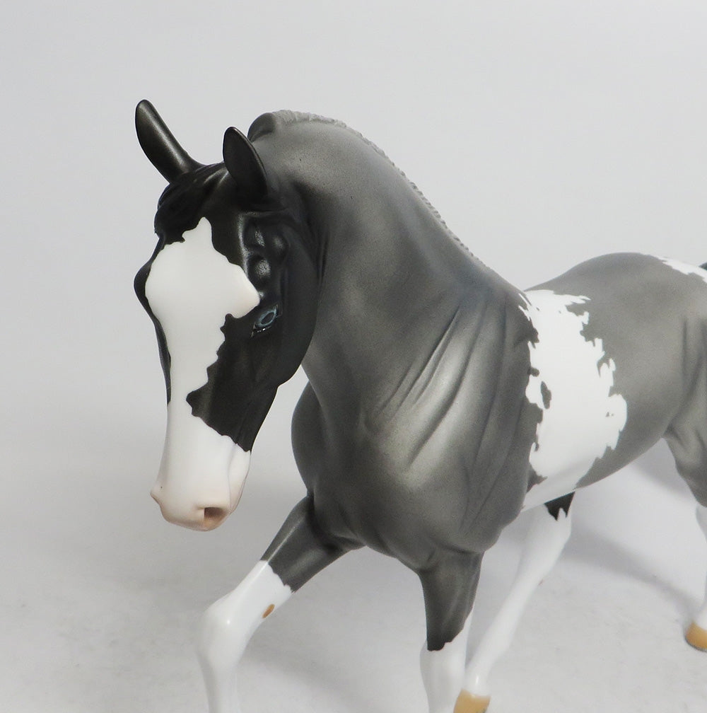 JACK FROST- OOAK GREY WITH BLACK POINTS TWH BY AUDREY DIXON WHS 2018
