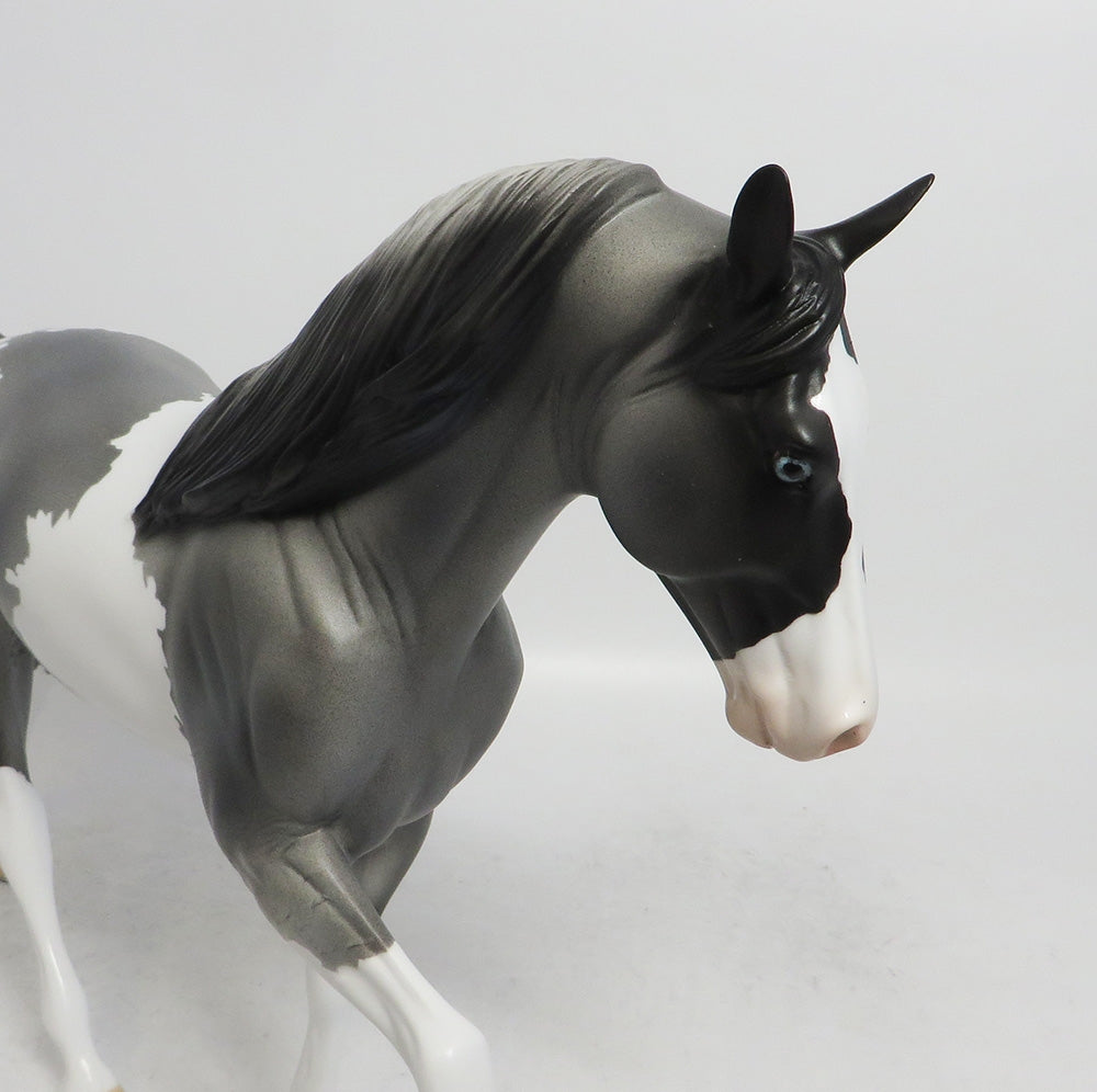 JACK FROST- OOAK GREY WITH BLACK POINTS TWH BY AUDREY DIXON WHS 2018