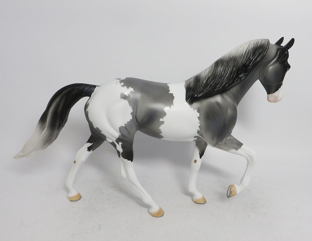 JACK FROST- OOAK GREY WITH BLACK POINTS TWH BY AUDREY DIXON WHS 2018