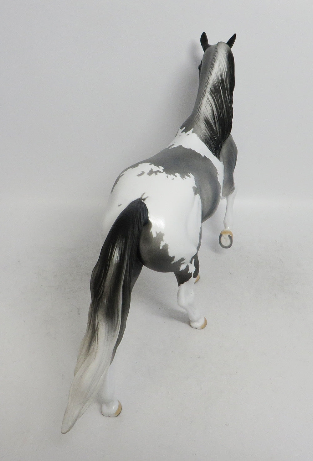JACK FROST- OOAK GREY WITH BLACK POINTS TWH BY AUDREY DIXON WHS 2018