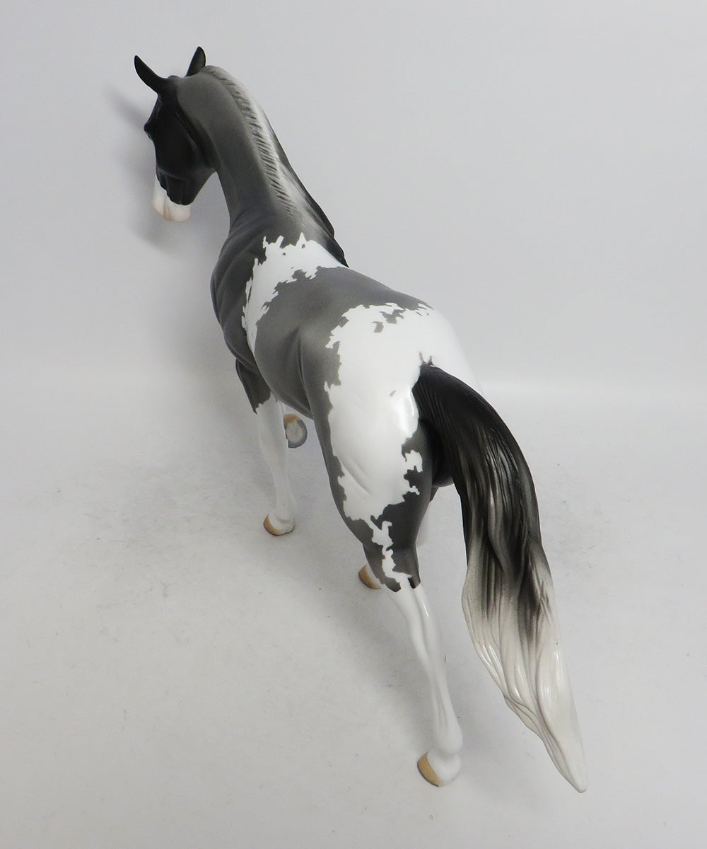 JACK FROST- OOAK GREY WITH BLACK POINTS TWH BY AUDREY DIXON WHS 2018