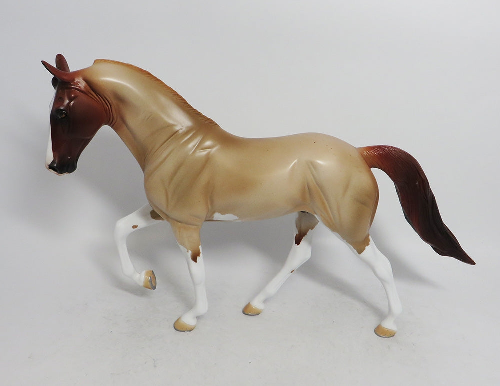 DANCER- OOAK STRAWBERRY ROAN TWH BY AUDREY DIXON WHS 2018