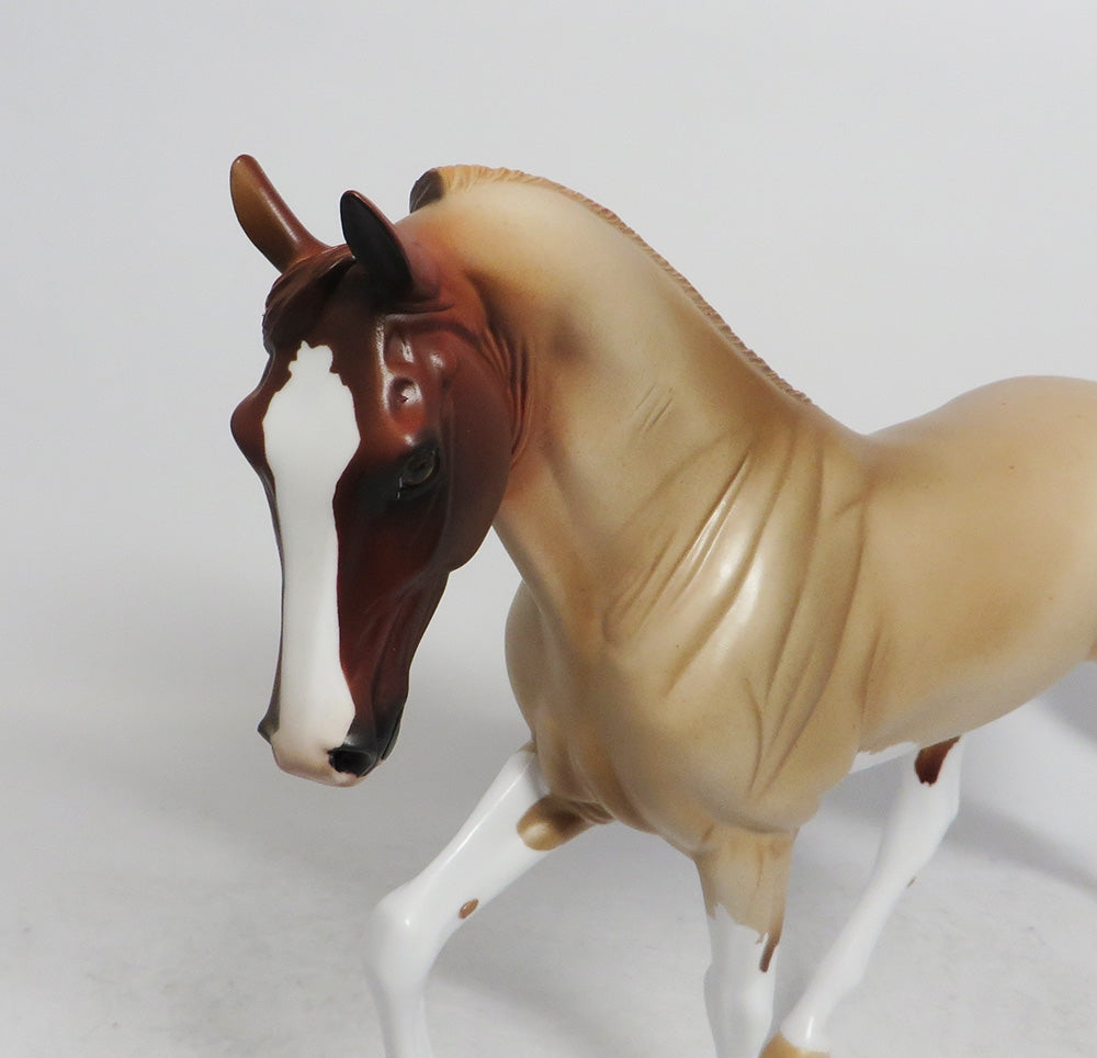 DANCER- OOAK STRAWBERRY ROAN TWH BY AUDREY DIXON WHS 2018