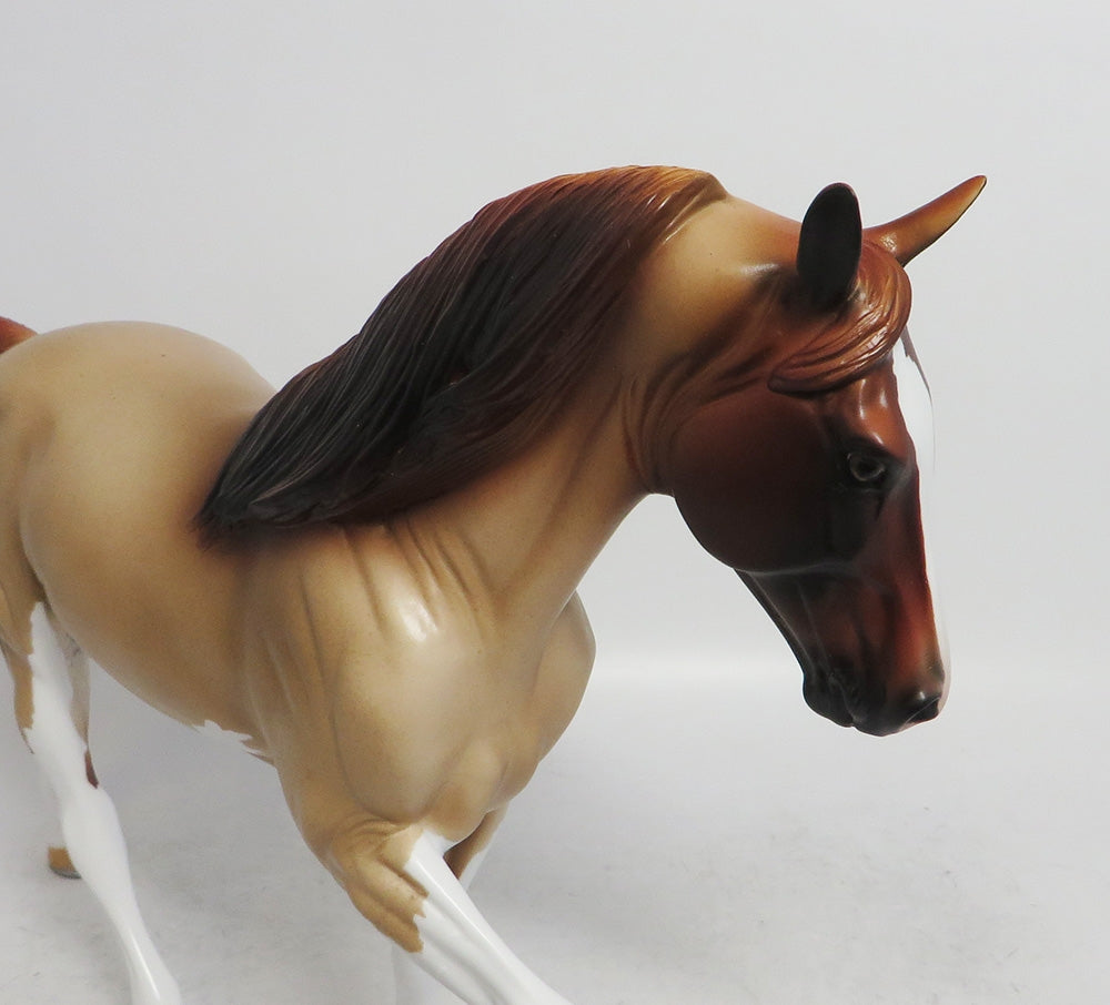 DANCER- OOAK STRAWBERRY ROAN TWH BY AUDREY DIXON WHS 2018