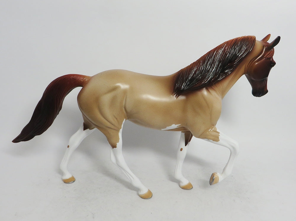 DANCER- OOAK STRAWBERRY ROAN TWH BY AUDREY DIXON WHS 2018