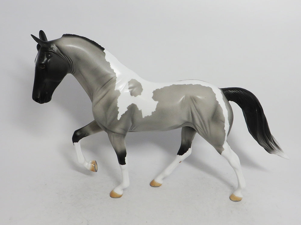 BUDDY THE ELF- OOAK BLUE ROAN TWH BY AUDREY DIXION EQ19