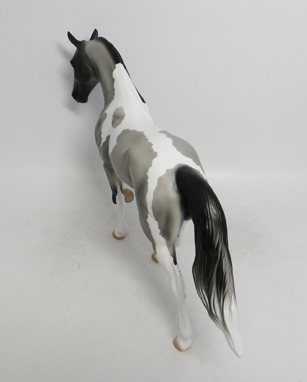 BUDDY THE ELF- OOAK BLUE ROAN TWH BY AUDREY DIXION EQ19