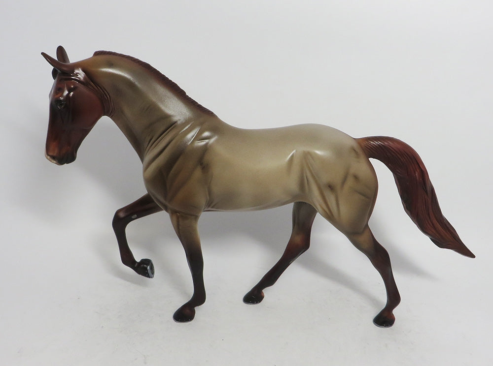 CINNAMON- OOAK RED ROAN TWH BY AUDREY DIXION WHS2018