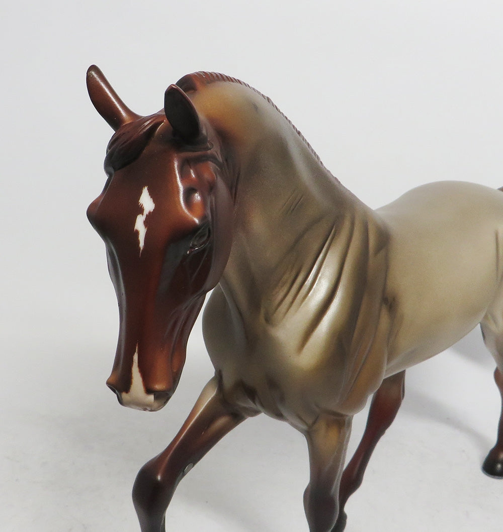 CINNAMON- OOAK RED ROAN TWH BY AUDREY DIXION WHS2018