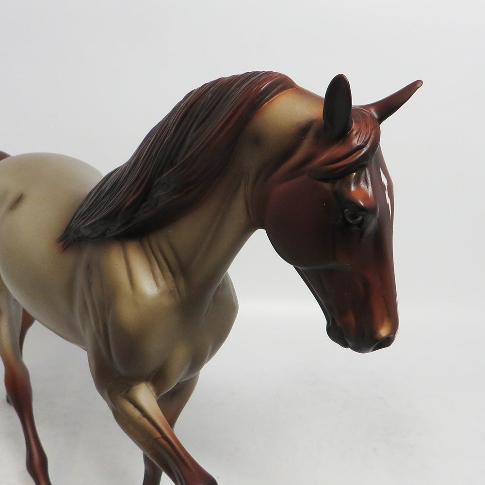 CINNAMON- OOAK RED ROAN TWH BY AUDREY DIXION WHS2018