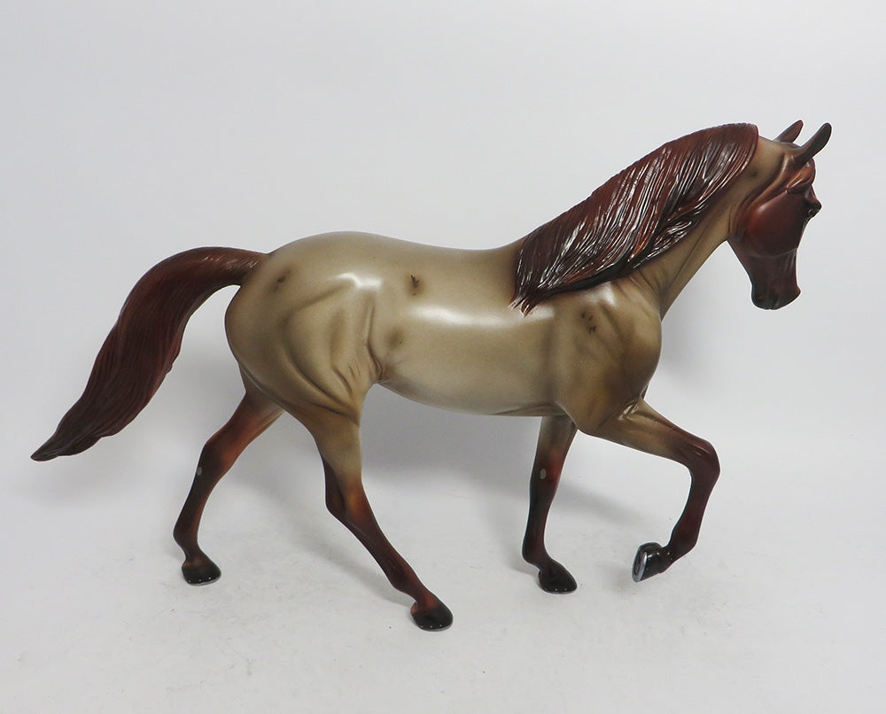 CINNAMON- OOAK RED ROAN TWH BY AUDREY DIXION WHS2018