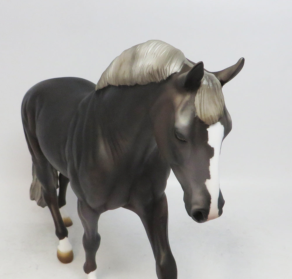LICORICE-OOAK DAPPLE BLACK GOING GREY IRISH DRAFT WHS 2018