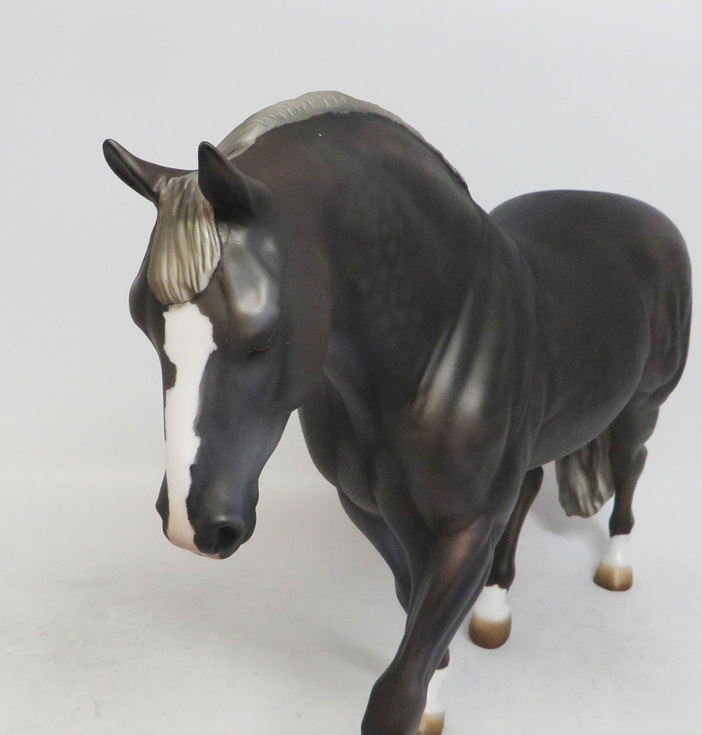 LICORICE-OOAK DAPPLE BLACK GOING GREY IRISH DRAFT WHS 2018