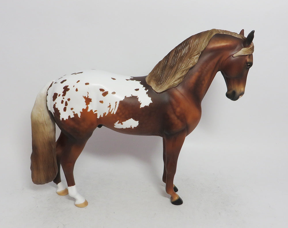 DRUMMER- APPALOOSA  ANDALUSIAN LE-2 BY AUDREY DIXON WHS 2018