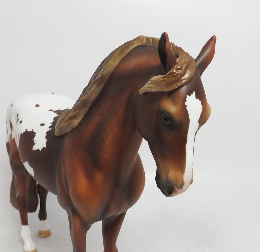 DRUMMER- APPALOOSA  ANDALUSIAN LE-2 BY AUDREY DIXON WHS 2018