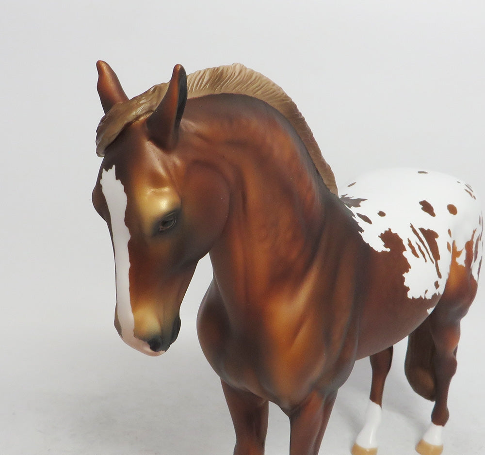 DRUMMER- APPALOOSA  ANDALUSIAN LE-2 BY AUDREY DIXON WHS 2018