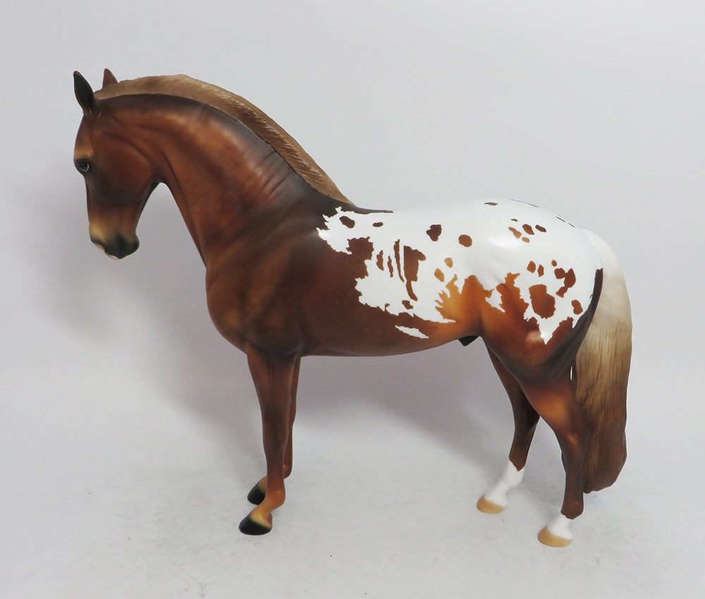 DRUMMER- APPALOOSA  ANDALUSIAN LE-2 BY AUDREY DIXON WHS 2018