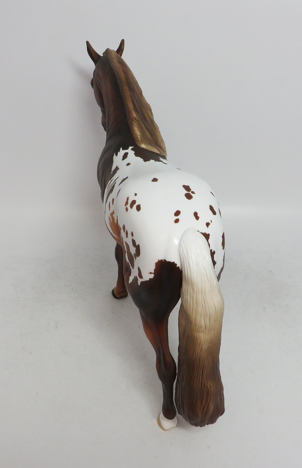 DRUMMER- APPALOOSA  ANDALUSIAN LE-2 BY AUDREY DIXON WHS 2018