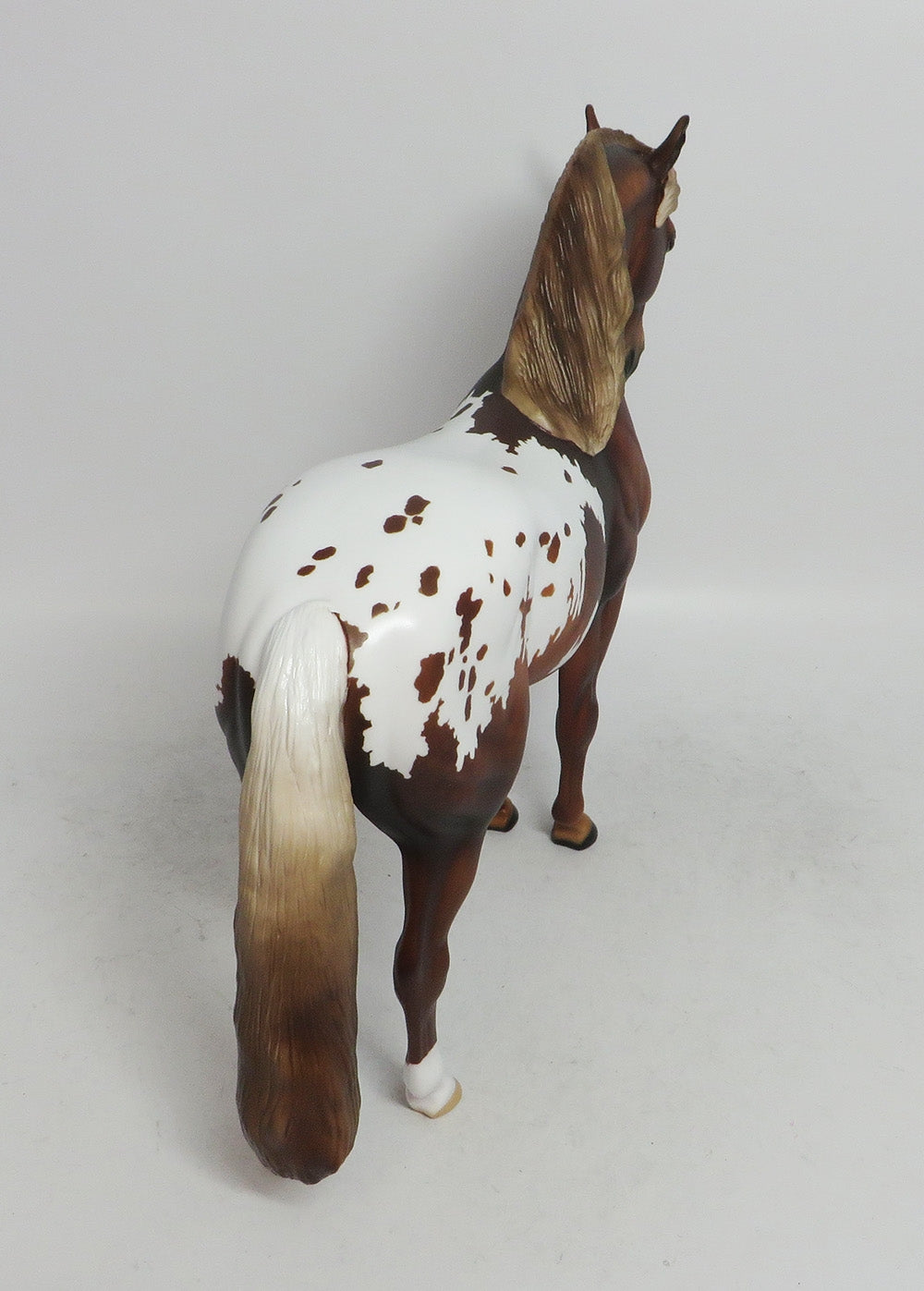 DRUMMER- APPALOOSA  ANDALUSIAN LE-2 BY AUDREY DIXON WHS 2018