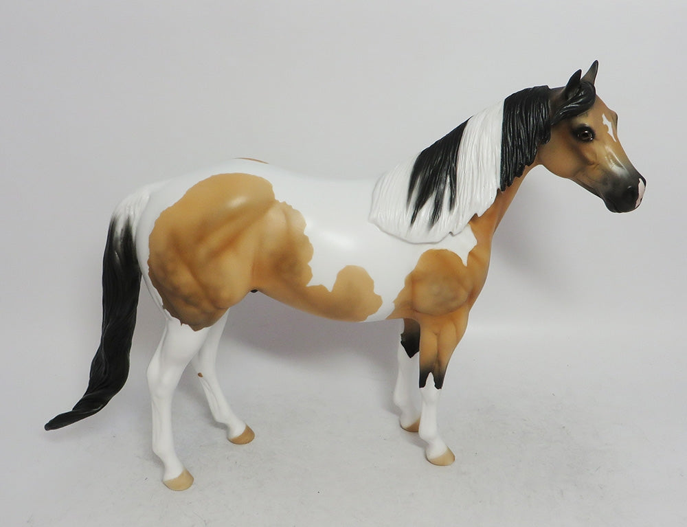 COMET- LE-4 BUCKSKIN TOBIANO BY AMANDA  HOSTETLER WHS 2018