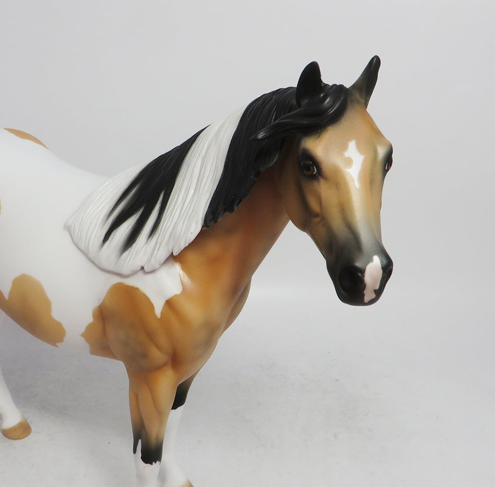 COMET- LE-4 BUCKSKIN TOBIANO BY AMANDA  HOSTETLER WHS 2018