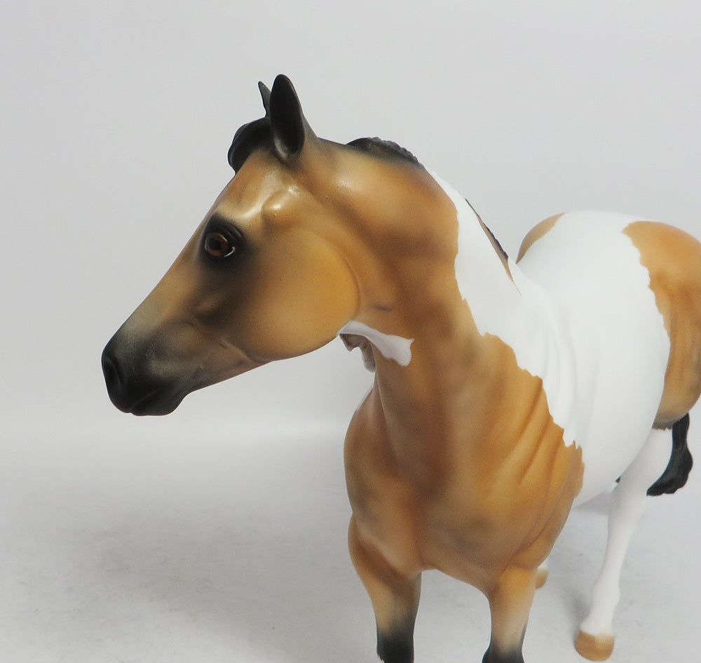 COMET- LE-4 BUCKSKIN TOBIANO BY AMANDA  HOSTETLER WHS 2018