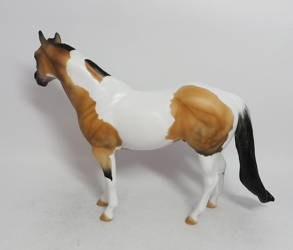 COMET- LE-4 BUCKSKIN TOBIANO BY AMANDA  HOSTETLER WHS 2018