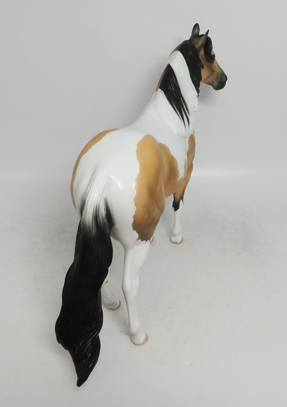 COMET- LE-4 BUCKSKIN TOBIANO BY AMANDA  HOSTETLER WHS 2018