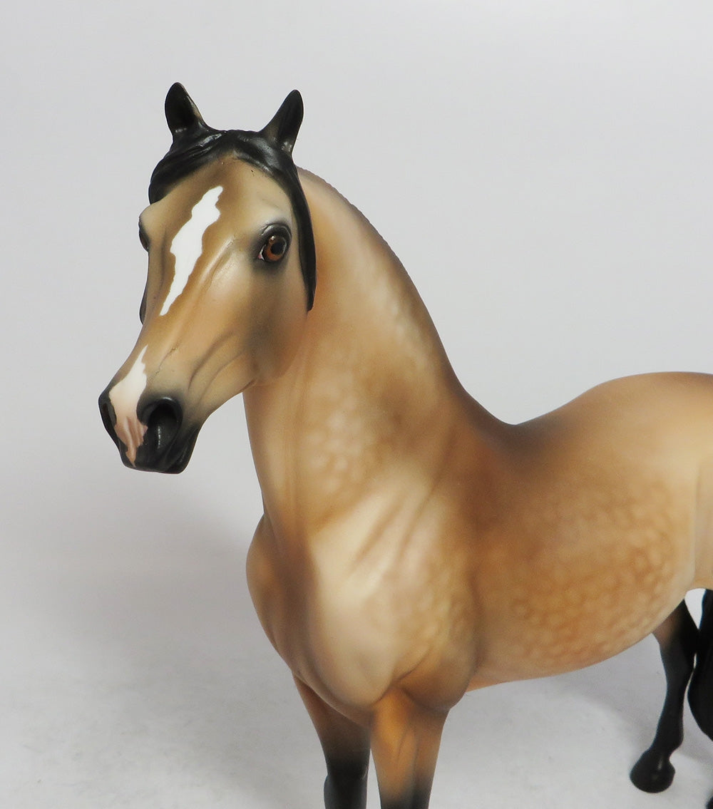 JOESPH- OOAK BUCKSKIN CUSTOM BY AUDREY DIXON WHS 2018