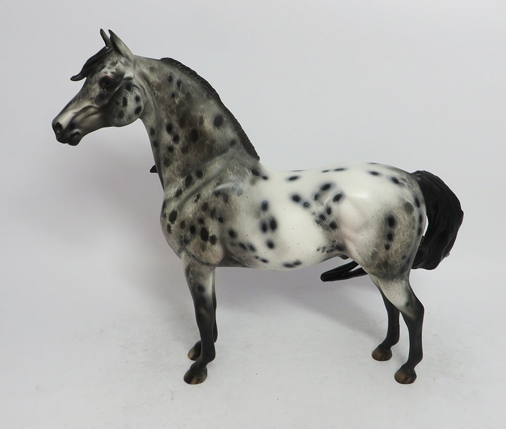 SLEET- OOAK CM MORGAN BLACK APPALOOSA BY JULIE KEIM WHS 2018