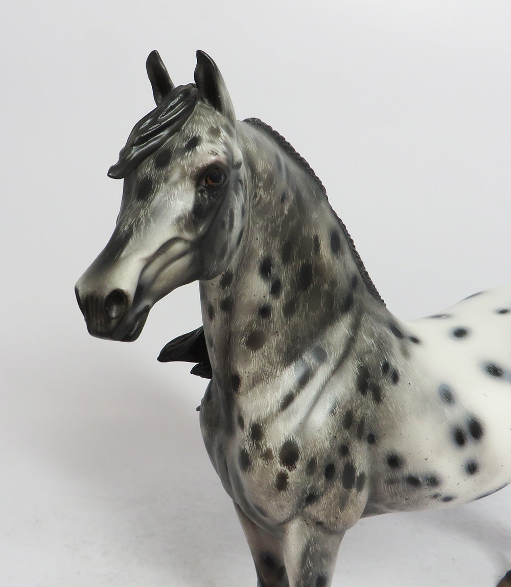 SLEET- OOAK CM MORGAN BLACK APPALOOSA BY JULIE KEIM WHS 2018