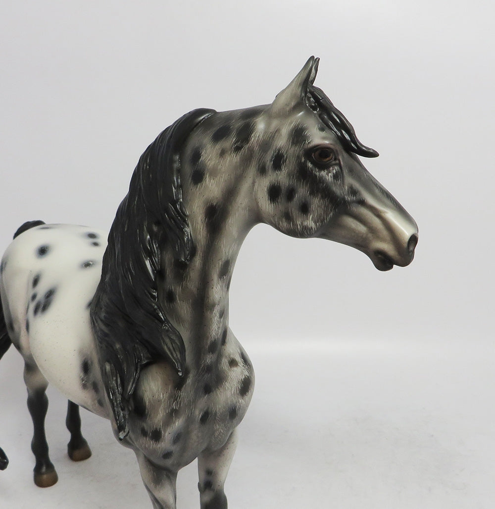 SLEET- OOAK CM MORGAN BLACK APPALOOSA BY JULIE KEIM WHS 2018