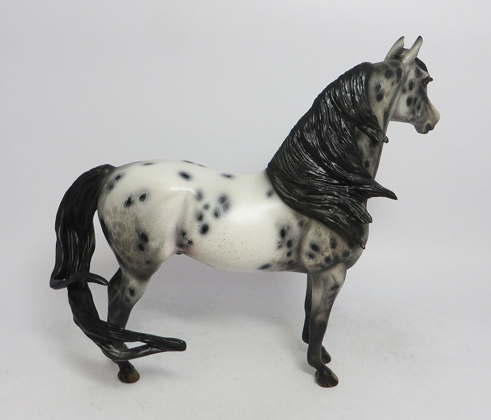 SLEET- OOAK CM MORGAN BLACK APPALOOSA BY JULIE KEIM WHS 2018