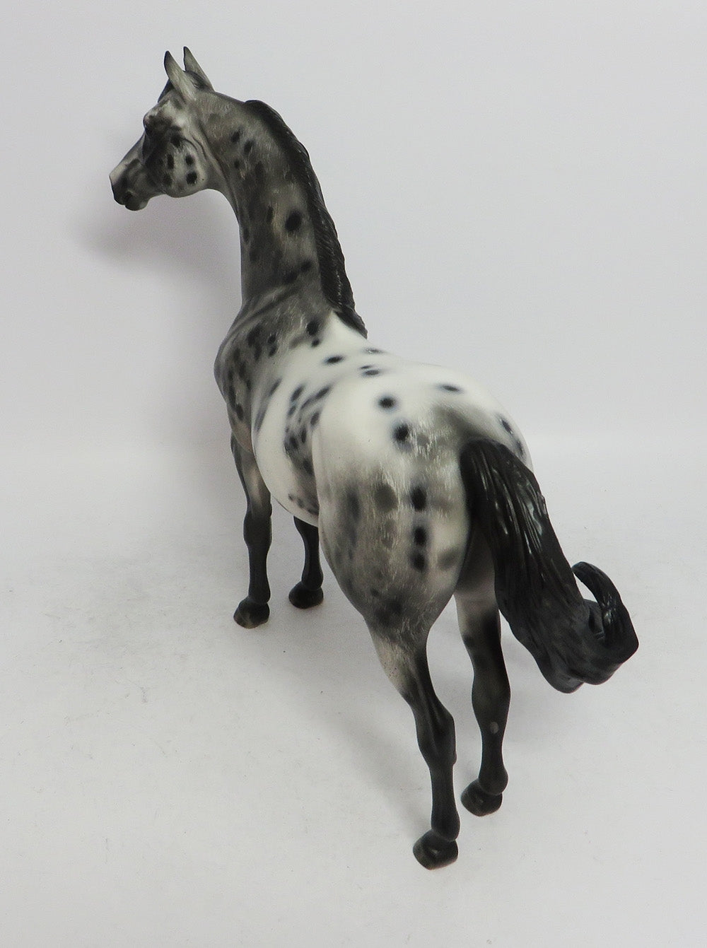 SLEET- OOAK CM MORGAN BLACK APPALOOSA BY JULIE KEIM WHS 2018