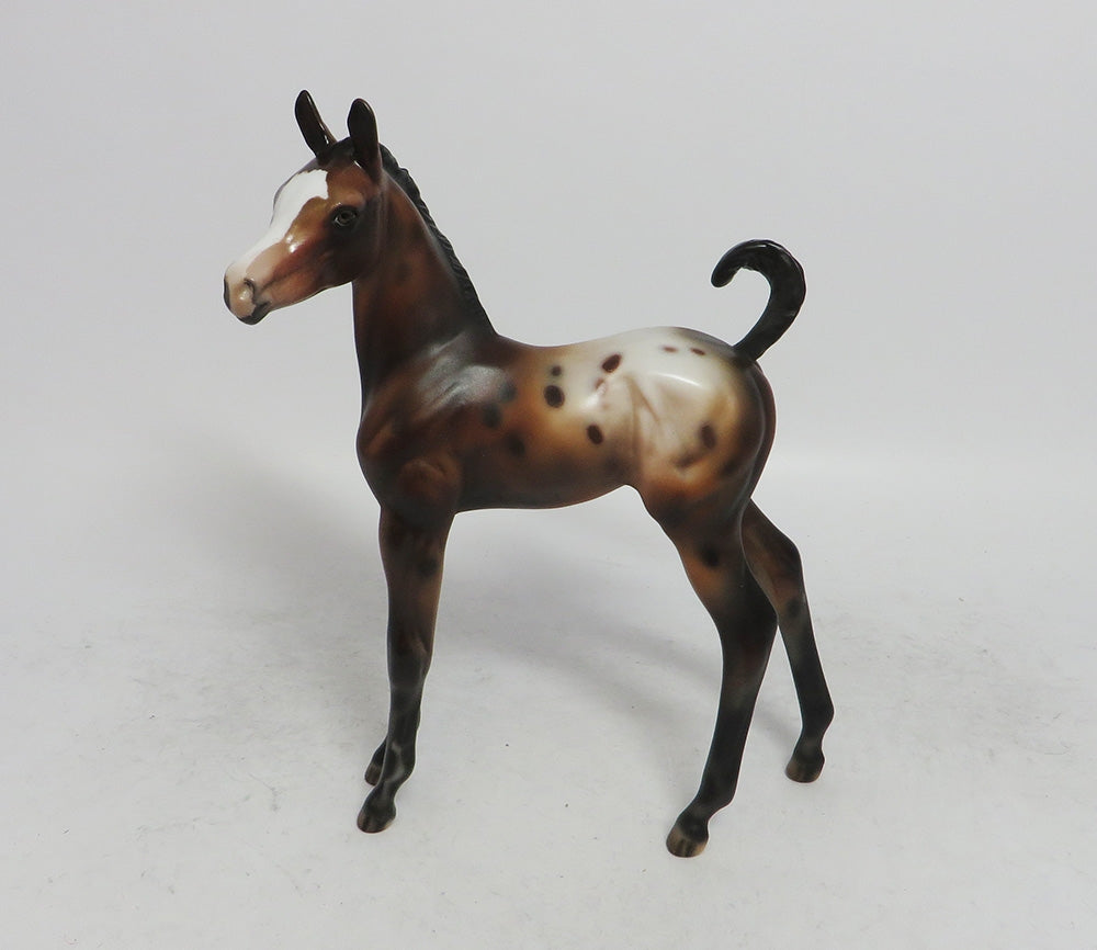 MITTENS - OOAK BAY APPALOOSA CUSTOM ARAB  FOAL BY JULIE KEIM WHS 2018