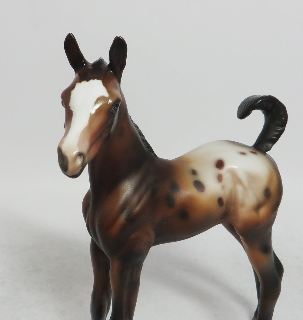 MITTENS - OOAK BAY APPALOOSA CUSTOM ARAB  FOAL BY JULIE KEIM WHS 2018